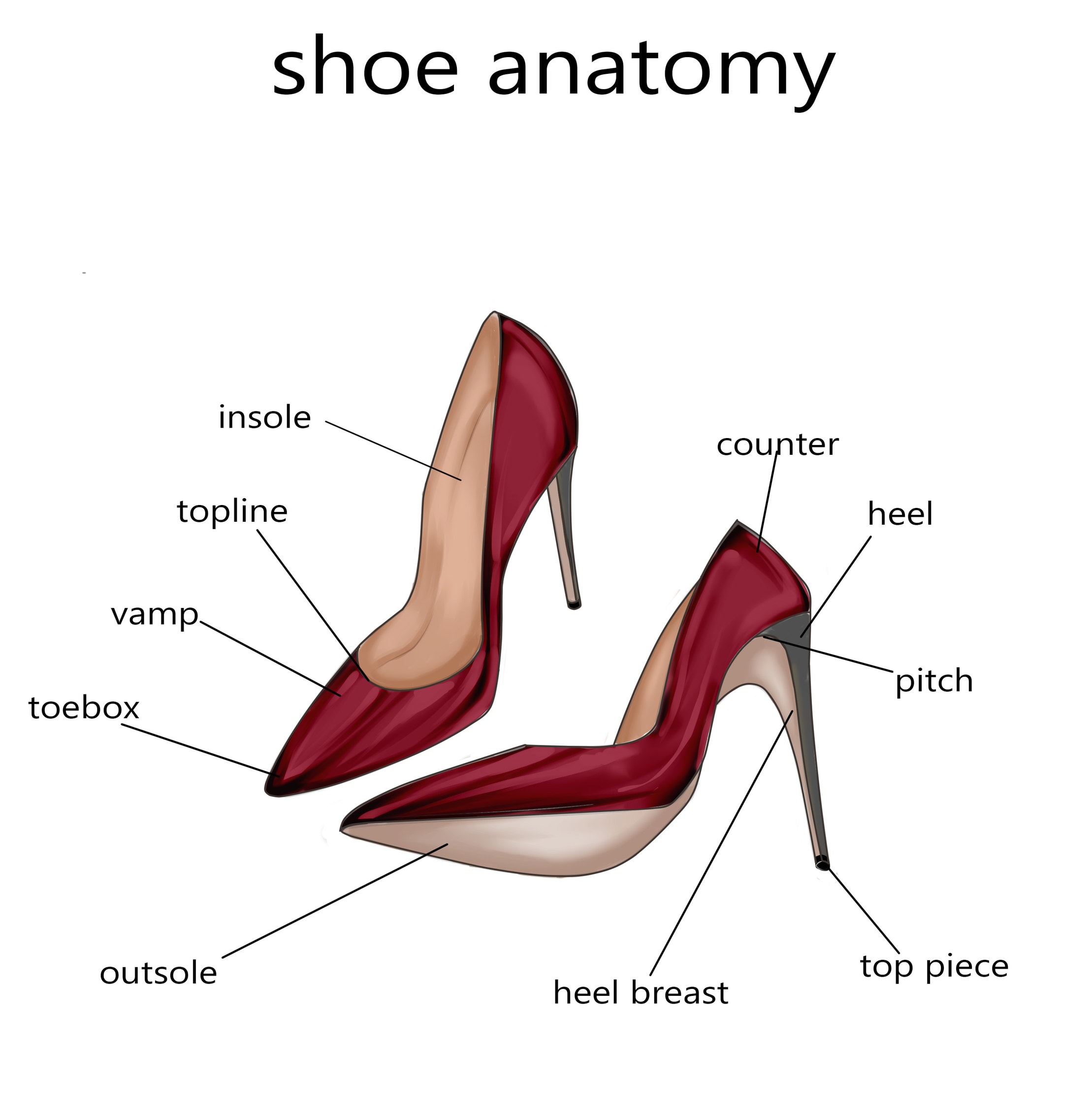 Ultimate High Heel Anatomy Guide 19 Main Parts Of A High Heel | vlr.eng.br
